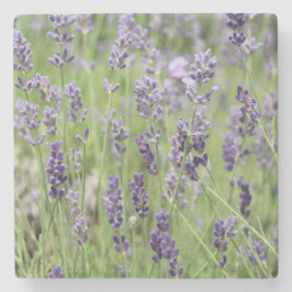 Porta-copo De Pedra Linda Lavanda