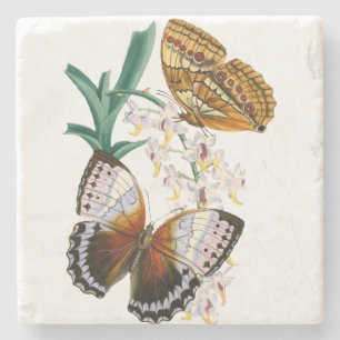 Porta-copo De Pedra Linda Vintage Floral Butterfly Ilustração