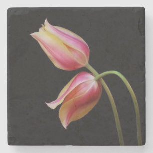 Porta-copo De Pedra Lindas Tulipas