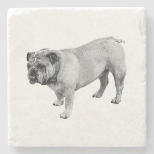 Porta-copo De Pedra Linha Rugged Bulldog