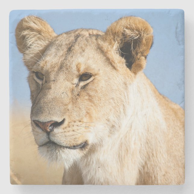 Porta-copo De Pedra Lionalidade contra céu azul (Frente)