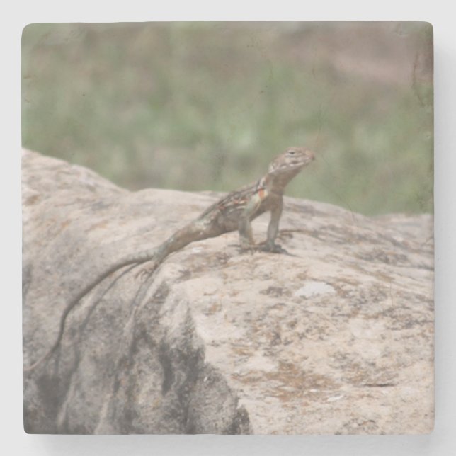 Porta-copo De Pedra Lizard (Frente)
