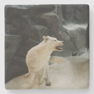 Porta-copo De Pedra Lobo Branco