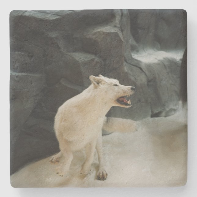 Porta-copo De Pedra Lobo Branco (Frente)