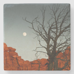 Porta-copo De Pedra Lua má