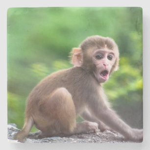 Porta-copo De Pedra Macaco-bebê bonito e adorável
