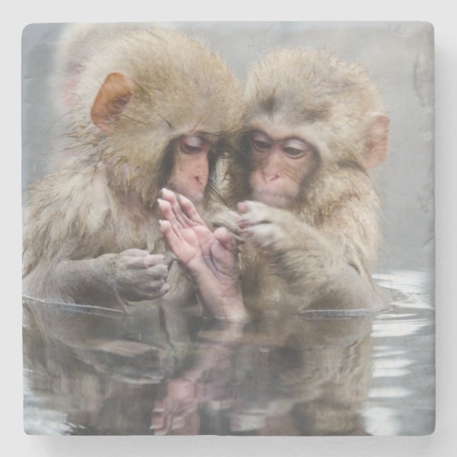 Porta-copo De Pedra Macacos pequenos | Hot Springs, Japão (Frente)