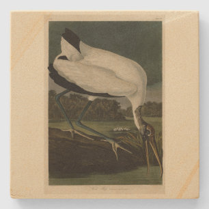 Porta-copo De Pedra Madeira Ibis (Ibis, Stork): Aves de Audubon da Amé