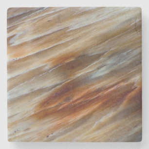 Porta-copo De Pedra Madeira Petrificada