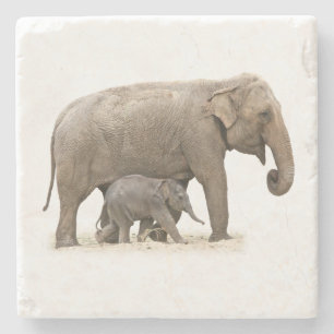 Porta-copo De Pedra Mãe e Elefante Bebê