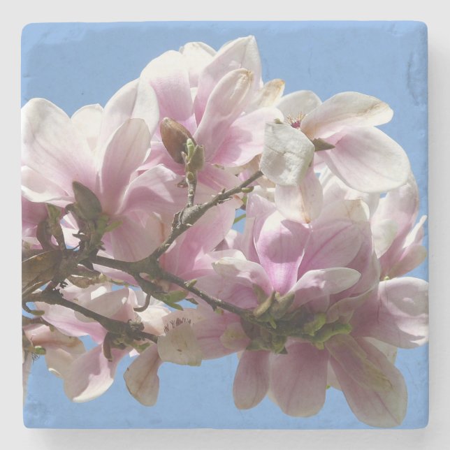 Porta-copo De Pedra Magnolia Blossom (Frente)