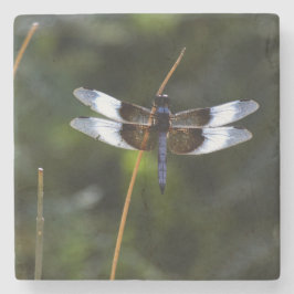 Porta-copo De Pedra Male Widow Skimmer Dragonfly