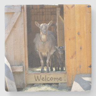 Porta-copo De Pedra Mamãe Goat & Baby