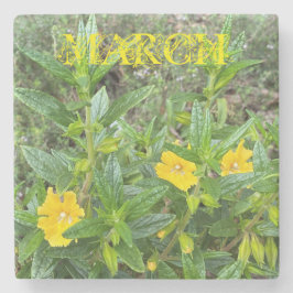 Porta-copo De Pedra Março Montecflores