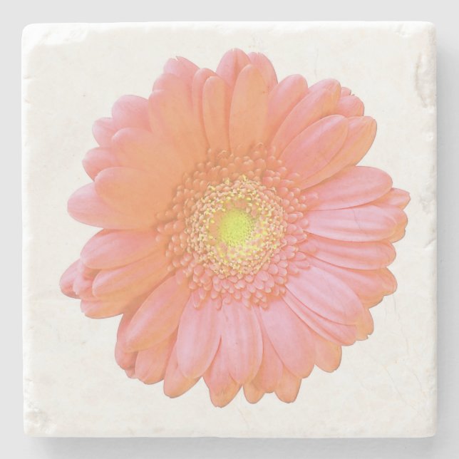 Porta-copo De Pedra Margarida de gerbera laranja (Frente)