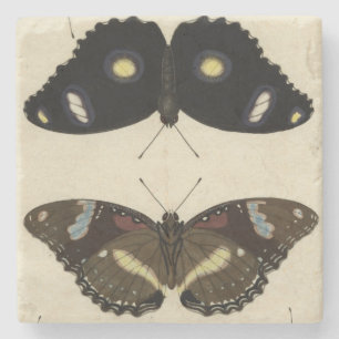 Porta-copo De Pedra Medley de Borboleta Colorida no Fundo de Cream