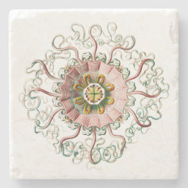 Porta-copo De Pedra medusa