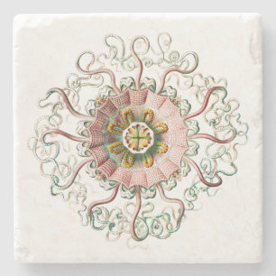 Porta-copo De Pedra medusa