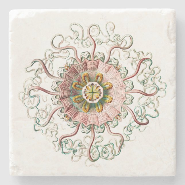 Porta-copo De Pedra medusa (Frente)