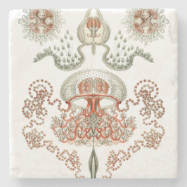 Porta-copo De Pedra Medusa aquáticas do ~ de Haeckel do ~ da vida