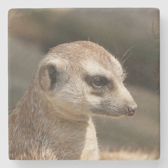 Porta-copo De Pedra Meerkat 048 (Frente)