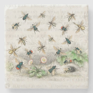 Porta-copo De Pedra Melhor Rainha Abelha Entomologia Botânica Vintage