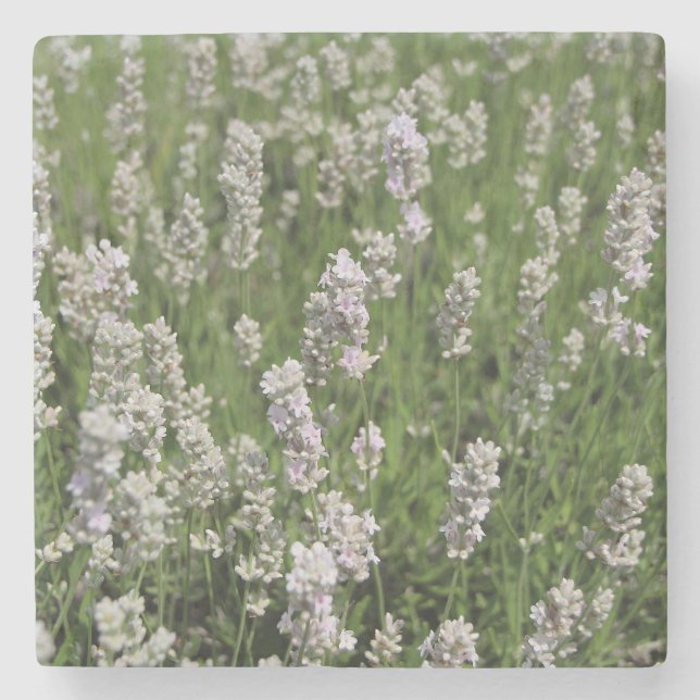 Porta-copo De Pedra Melissa Lavender (Frente)