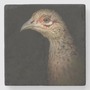 Porta-copo De Pedra Menina do jogo