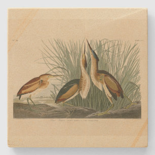 Porta-copo De Pedra Menos amargo das Aves da América de Audubon