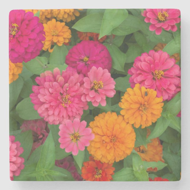 Porta-copo De Pedra Michigan, Dearborn, Greenfield Village.Close up (Frente)