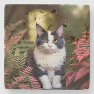 Porta-copo De Pedra Millie O Gato Ragdoll,