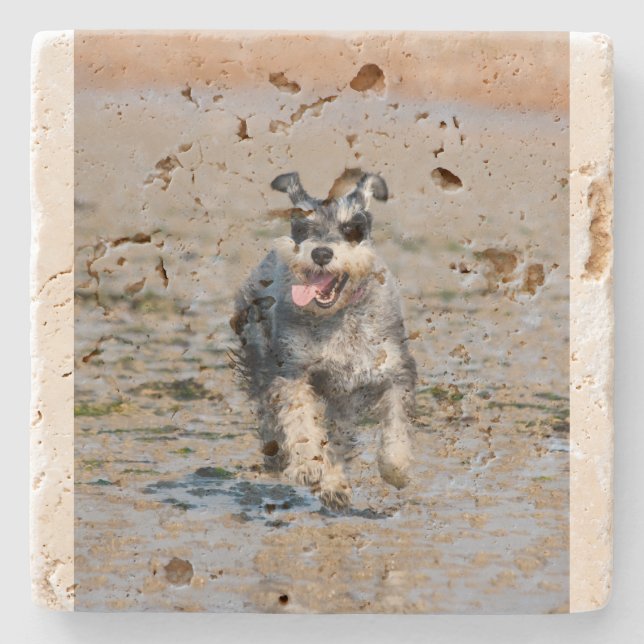 Porta-copo De Pedra mini schnauzer (Frente)