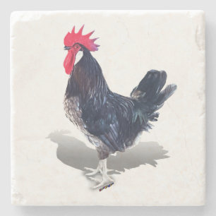 Porta-copo De Pedra Minorca Rooster