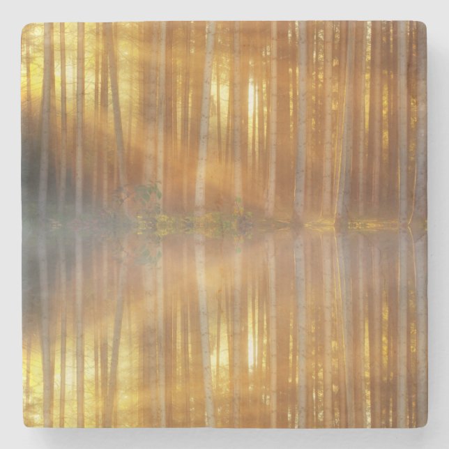 Porta-copo De Pedra Misty Forest Scene (Frente)