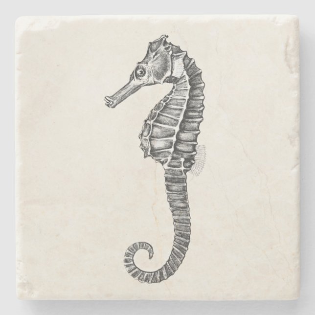 Porta-copo De Pedra Modelo do cavalo marinho do oceano do cavalo de (Frente)