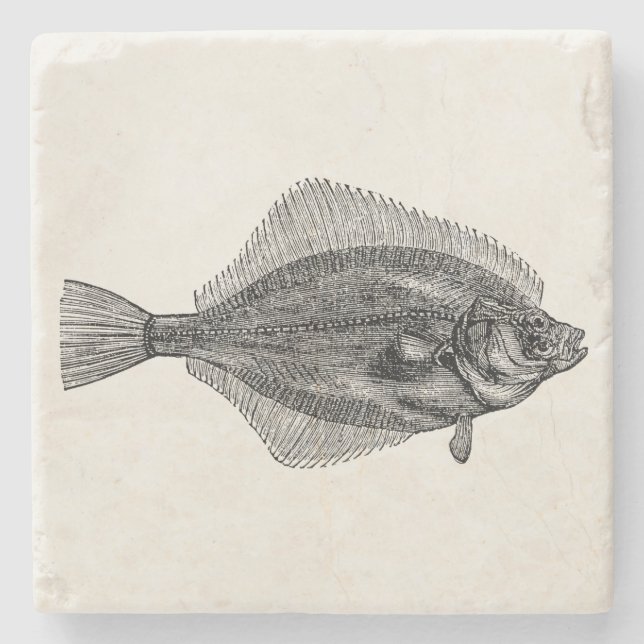 Porta-copo De Pedra Modelo personalizado aquático dos peixes da solha (Frente)