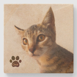 Porta-copo De Pedra Modelo Personalizado de Foto de Cão Gato de Gato d