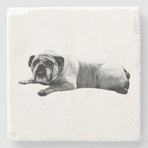 Porta-copo De Pedra Momentos Estáticos do Bulldog
