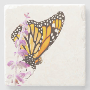 Porta-copo De Pedra Monarca empoleirada na lavanda