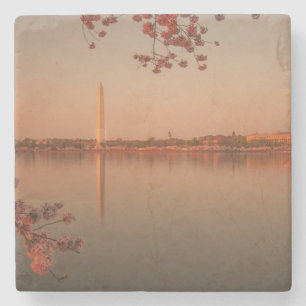 Porta-copo De Pedra Monumento de Washington Sakura no por do sol