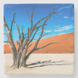 Porta-copo De Pedra Morto em Deadvlei, Namíbia