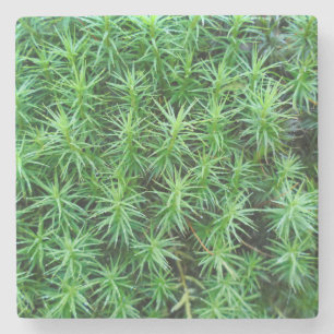 Porta-copo De Pedra Moss Boné de Cabelo de Juniper
