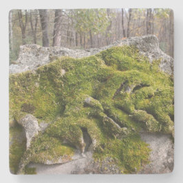 Porta-copo De Pedra Mossy Broken Headstone