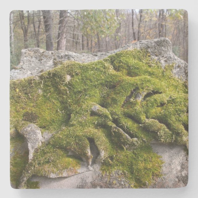 Porta-copo De Pedra Mossy Broken Headstone (Frente)