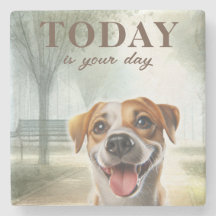 Motivação Inspiracional