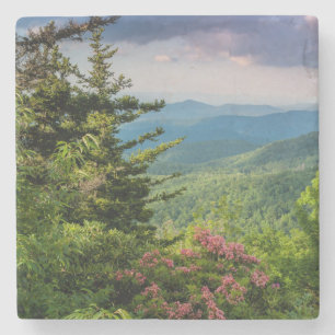 Porta-copo De Pedra Mountain Laurel ao Nascer do Sol