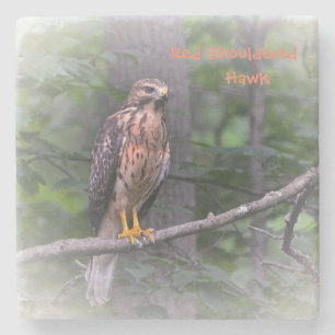 Porta-copo De Pedra Mystical Hawk