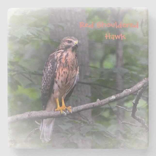 Porta-copo De Pedra Mystical Hawk (Frente)