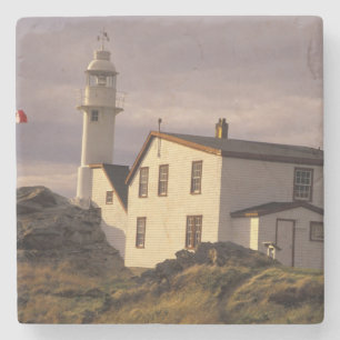 Porta-copo De Pedra NA, Canadá, Terra Nova, Lobster Cove. Lagosta