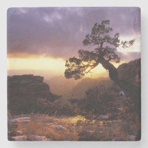 Porta-copo De Pedra NA, EUA, Arizona, Tucson, Pôr do sol e solitário
